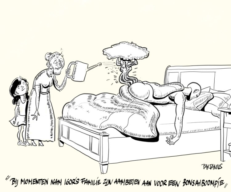 bonsai boom aambeien dementie oude vrouw kater slapen