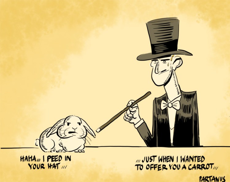 Magic hat rabbit bunny piss